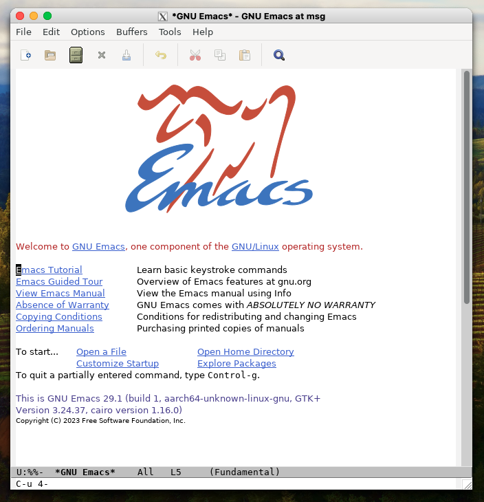 screenshot-emacs-x11.png